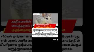 எலி மருத்தை வைத்ததில் விபரீதமாக #viralshorts #tamilnews