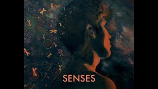 Senses - Seven Eyes