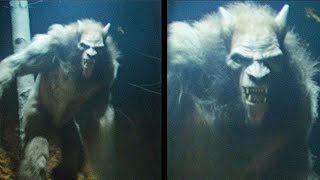 THIS SCARY FOOTAGE SHOWS A DOGMAN CAPTURED ON CAMERA!!