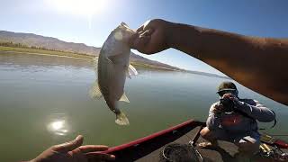 LAKE BERRYESSA BASS FISHING - LATE SPRING 2021