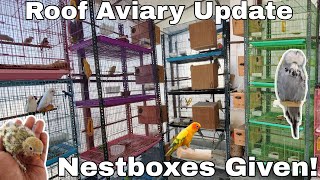 Cages Shifted - Update on Roof Aviary || All About Pets