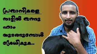 പ്രവാസികളെ👨‍💼, നാട്ടിൽ തിരിച്ചു വന്നു ഫാം തുടങ്ങാൻ പ്ലാൻ ഉണ്ടോ? എങ്കിൽ ഈ വീഡിയോ ഒന്നു കാണണട്ടോ 🙂