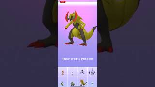 Pokémon GO: Axew Evolution