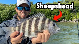 Winter Sheepshead FISHING in Florida and BEACH Adventure !!!