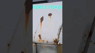 Экспресс покраска ГАЗель