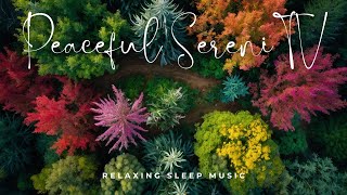 Twilight Serenity: Sleep Music for Peaceful Nights