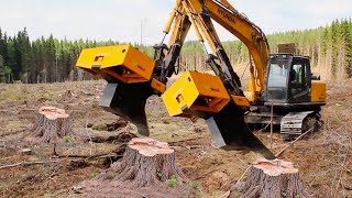 Dangerous Fastest Long Reach Excavator Cutting Tree, Biggest Chainsaw Felling Tree Skill Working