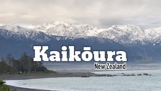 KAIKOURA NEW ZEALAND | Pinay in New Zealand