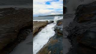 Kamay Botany Bay National Park #shorts #sydney #laperouse #australia