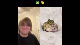 🐸✋