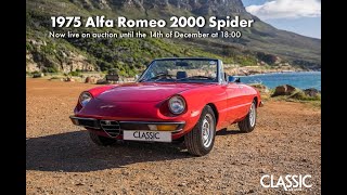 For sale: 1975 Alfa Romeo 2000 Spider