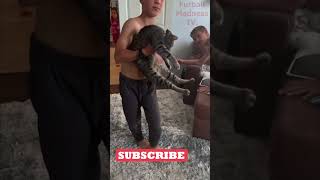 Funny Animals Videos 🤣 | Ep. 506 #shorts #viral #funny