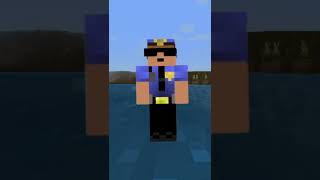 Most Used MINECRAFT SKINS in the World! #shorts #minecraftshorts #ytshorts #trend #viral