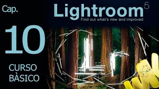 Adobe Lightroom 5, Opciones de visualización de la biblioteca, Curso basico español cap 10