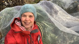 Preparing for todays harvest