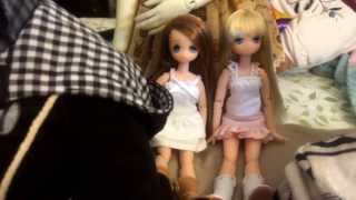 My Bjd and Azone Family