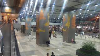 IGI DELHI  AIRPORT  Excellent Art work...