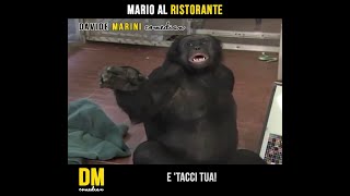 Mario al ristorante