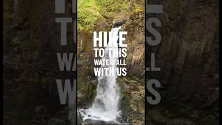 Hiking to Drift Creek Falls #hiking #oregonhiking #oregoncoast #oregon #hikingadventures