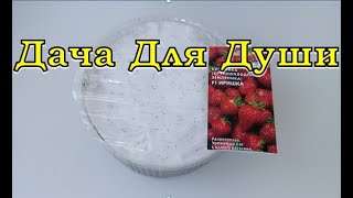 Сеем ЗЕМЛЯНИКУ ПО СНЕГУ🍓🍓🍓