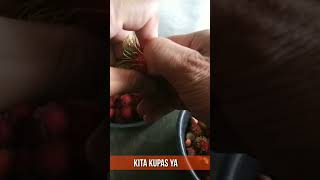 Daging Buah Rambutan Binjai Asli, Super Manis