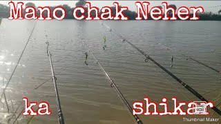 Good fishing catch gulfam fish [Mano chak neher ka shikar]#hook#fishing#