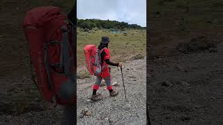 suasana alun alun surya kencana gunung gede 18/11/23