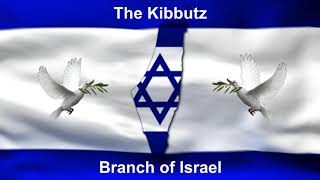 The Kibbutz