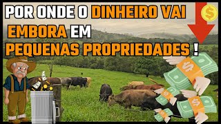 POR ONDE O DINHEIRO VAI EMBORA EM PEQUENAS PROPRIEDADES !!