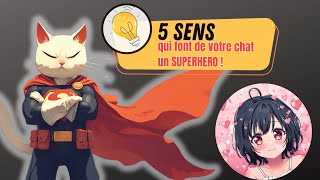 5 Sens de votre chat font de lui un superhéros 🐱✨