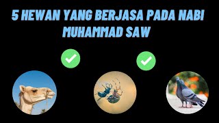 5 Hewan yang Berjasa pada Nabi Muhammad SAW