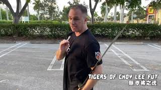 Tigers of Choy Lee Fut - Dahn Do (Broadsword - Single Hand) Part 1