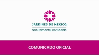 Comunicado para el sector salud de México