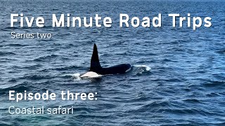 Coastal Safari | Five Minute Road Trips S2 EPISODE 3