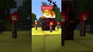 Legends Never Seen #shorts #minecraft #tiktok #viral