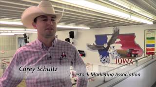 2015 National BQA Marketer Award - Knoxville Livestock Market