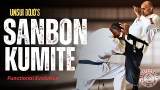 Karate's SANBON Kumite is WAY cooler than I thought...