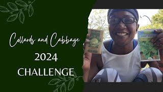 Collards and Cabbage 2024 Challenge @TNOG511 @growingoutthebox@backtoourroots9052