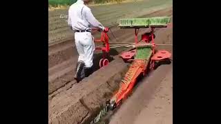 Onion Transplanter