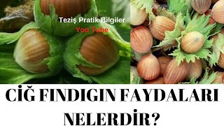 👉FINDIGIN FAYDALARI NELERDİR?👈