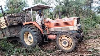 Máy cày Kubota 79500DT chở keo lên dốc