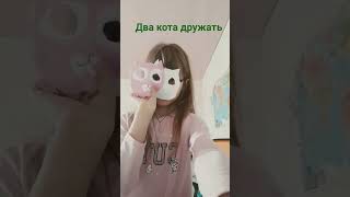 Два кота дружать