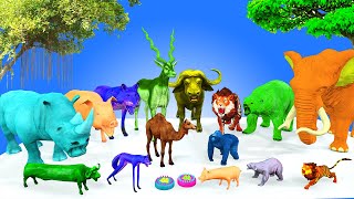 lion deer elephant bear fox pig rhinoceros bull transforming shapes get surprise gifts magic wall