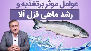 عوامل موثر بر تغذیه و رشد ماهی قزل آلا