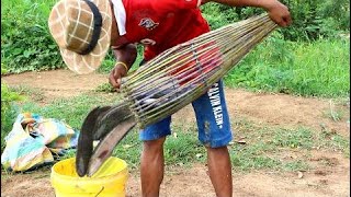 AMAZING Net Fishing - Primitive Technology fishing - Cambodia Traditional Fishing ( Part 82)