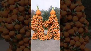 Fruit pairing c4d animation special effects #pumpkin #amazing #vegetables #fruit @Unzip_Animation