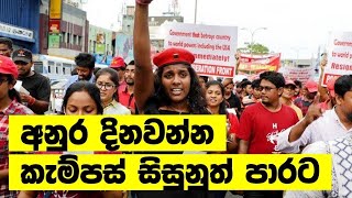 අනුර වෙනුවෙන් කැම්පස් සිසුනුත් පාරට | Anura Kumara Dissanayake | AKD | NPP