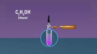 Oxidation Reactions of Alcohol