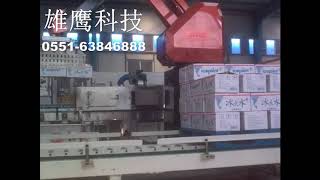 Carton palletizing robot 25 kg