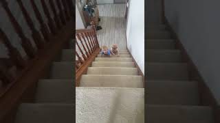 Climbing up the stair together